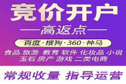 成功案例揭秘：百度竞价账户托管的运营之道